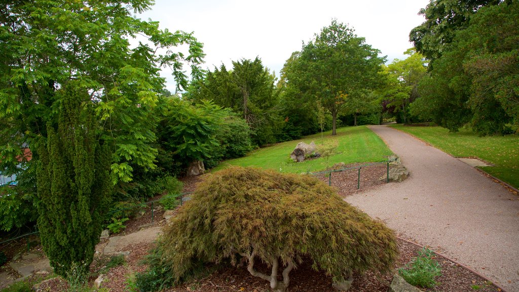 Grosvenor Park showing a garden