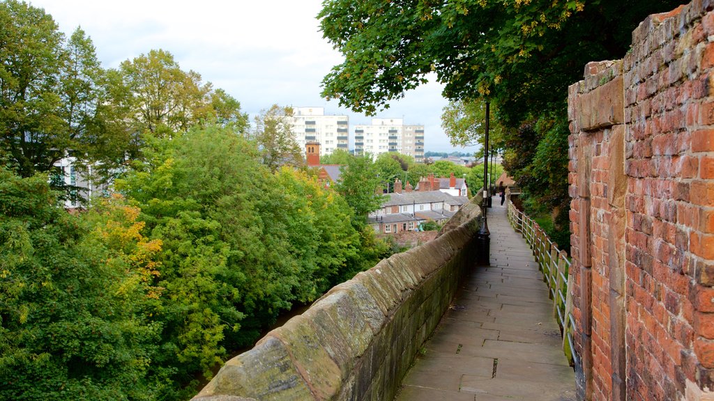 Chester City Walls mostrando elementos del patrimonio