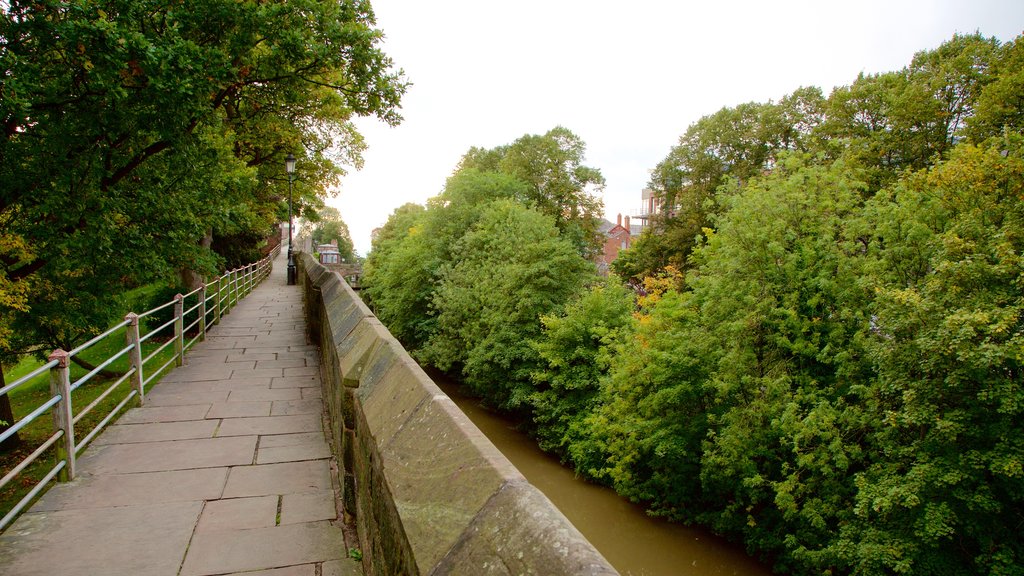 Chester City Walls showing heritage elements, a bridge and a river or creek