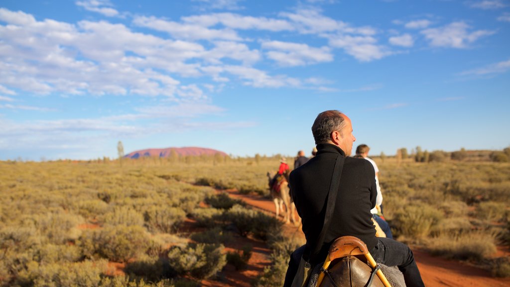 Uluru mostrando vista al desierto y pasos a caballo y también un hombre