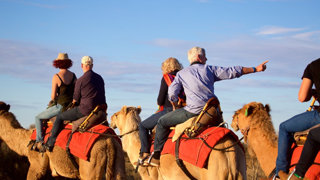 Uluru featuring desert views and horse riding as well as a small group of people