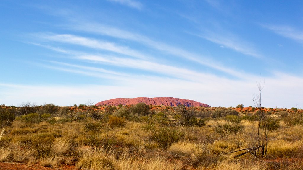 Uluru-Kata Tjuta National Park featuring landscape views and desert views