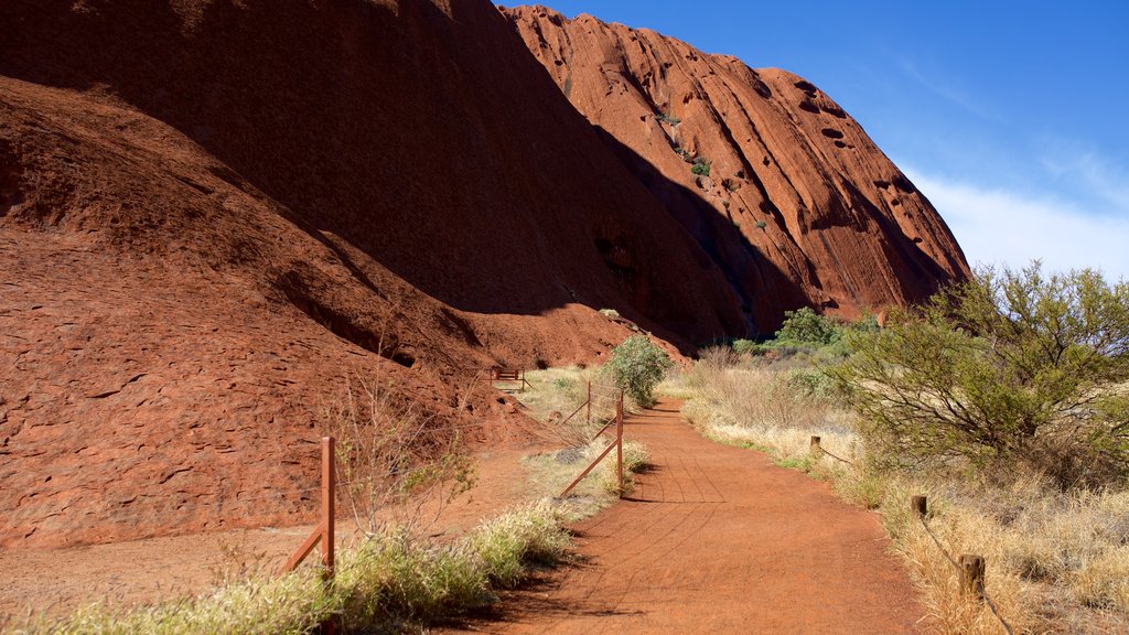 Uluru mettant en vedette vues du désert