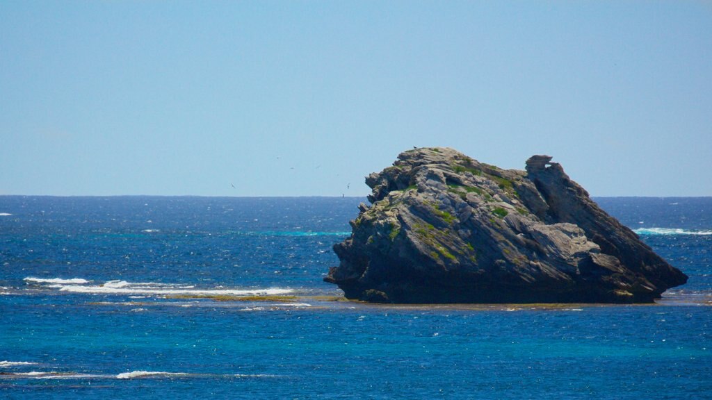 Karridale ofreciendo imágenes de una isla y vistas generales de la costa