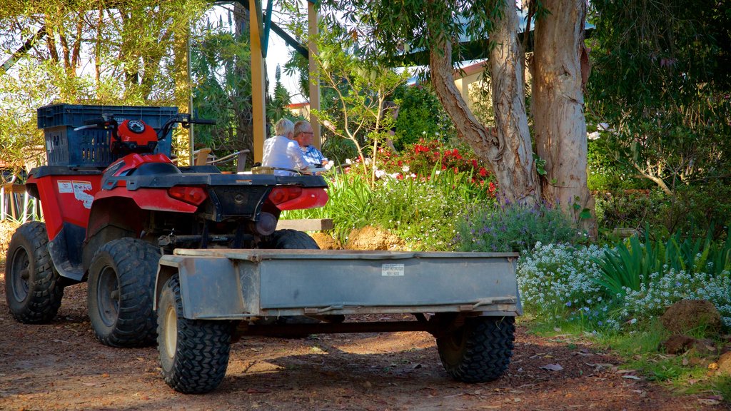 Berry Farm caracterizando um parque assim como um casal