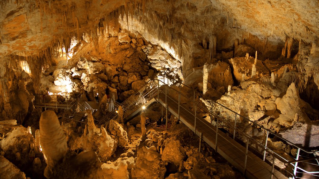 Grotte Mammoth qui includes cavernes