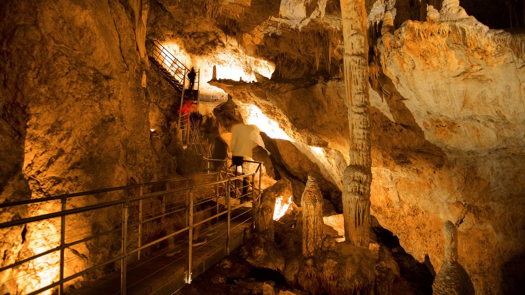 Parque nacional de Mammoth Cave ofreciendo cuevas