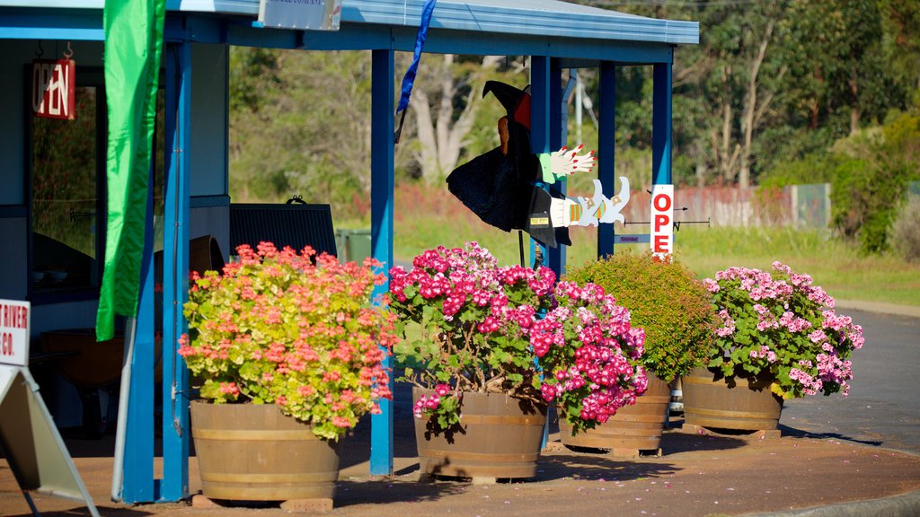 Región vinícola de Margaret River ofreciendo una pequeña ciudad o pueblo y flores