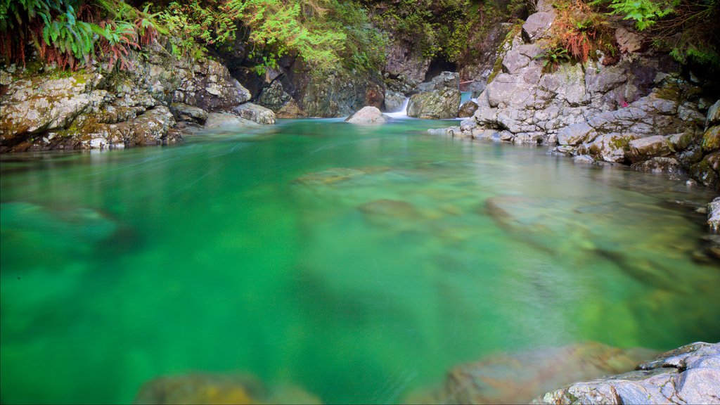 Lynn Canyon Park showing a river or creek