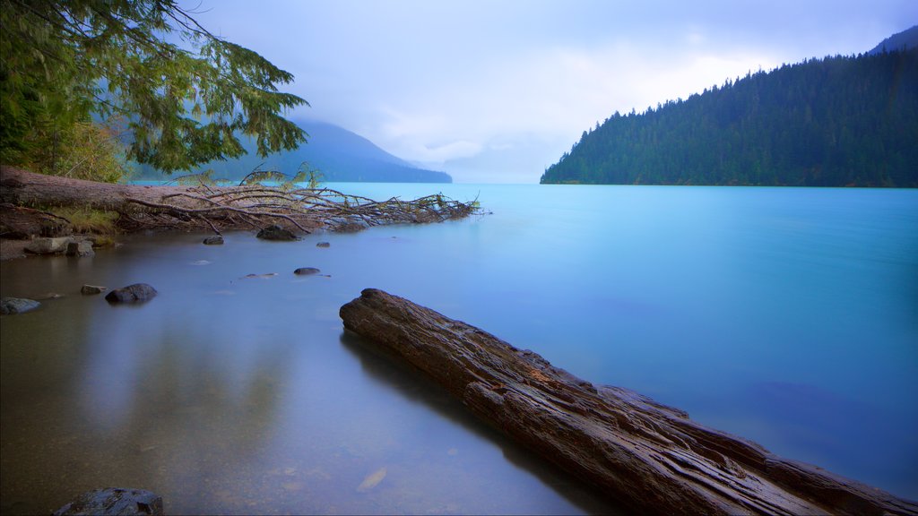 Garibaldi Provincial Park que incluye imágenes de bosques, niebla o neblina y un lago o espejo de agua