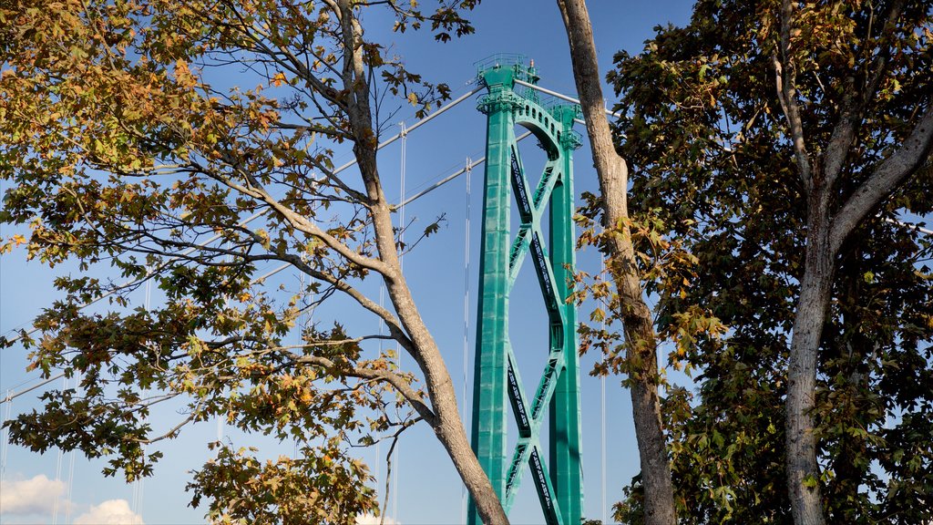 Stanley Park showing a bridge and a garden