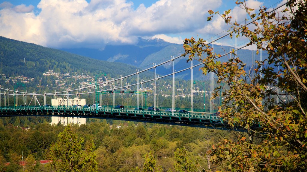 Stanley Park showing mountains, a garden and a bridge