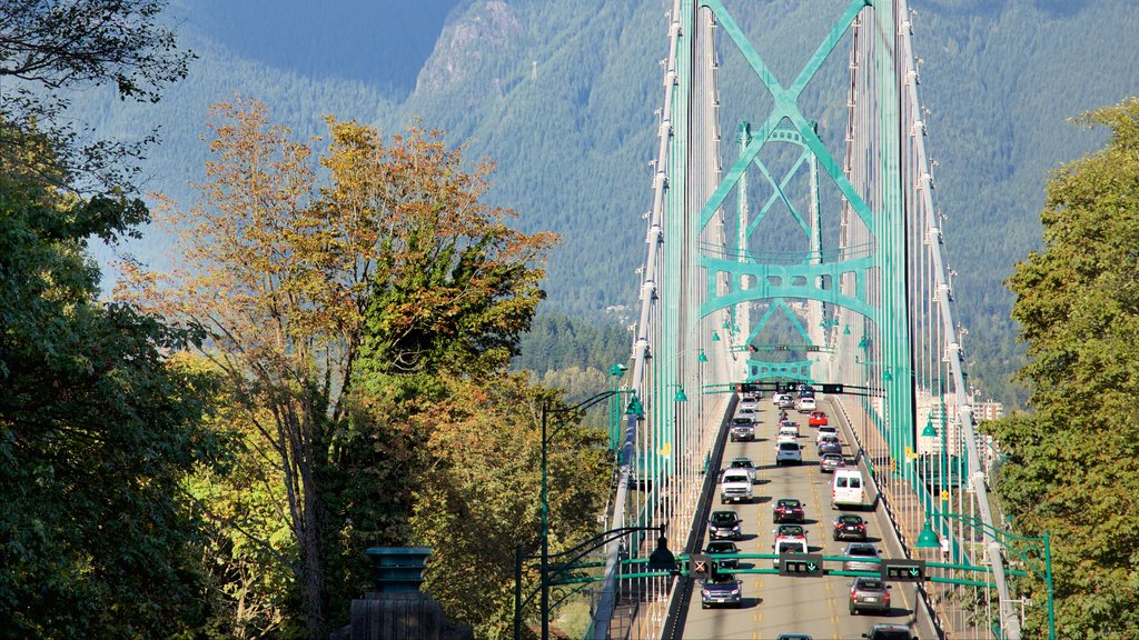 Stanley Park which includes a bridge, mountains and forest scenes