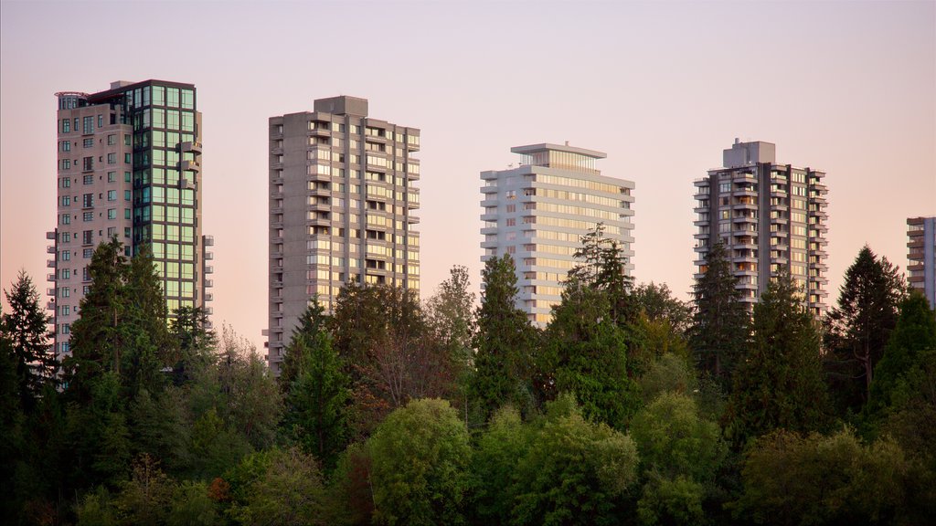 Stanley Park showing a park, a sunset and a high-rise building