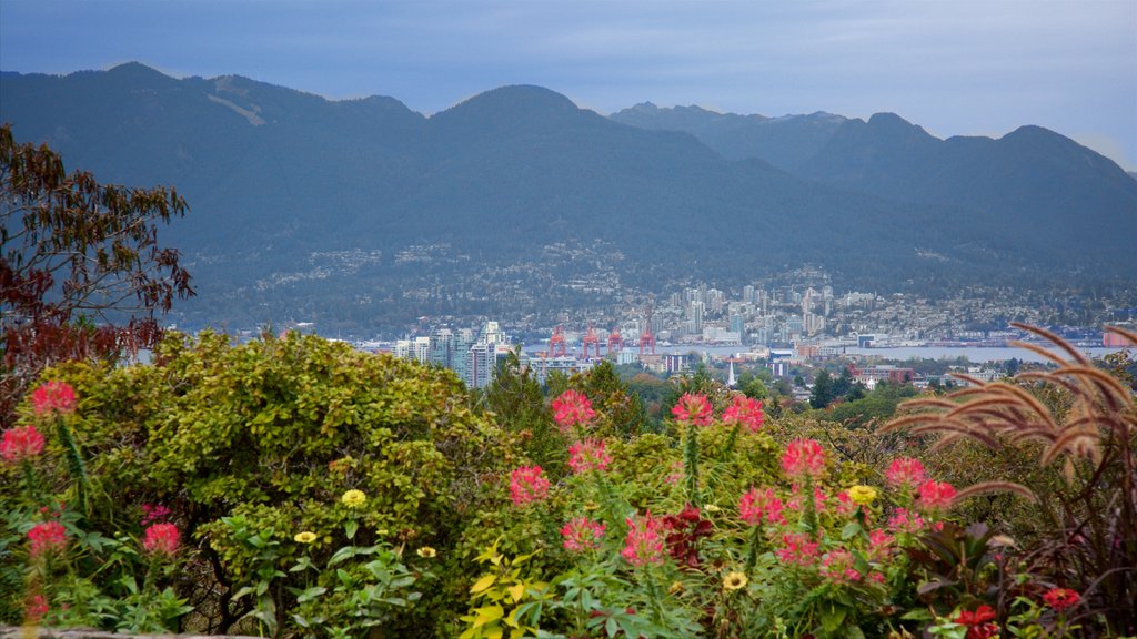 Queen Elizabeth Park showing a city, a garden and mountains