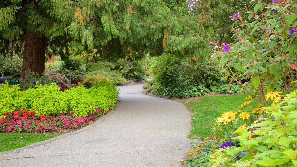 Parque Queen Elizabeth mostrando flores y un jardín