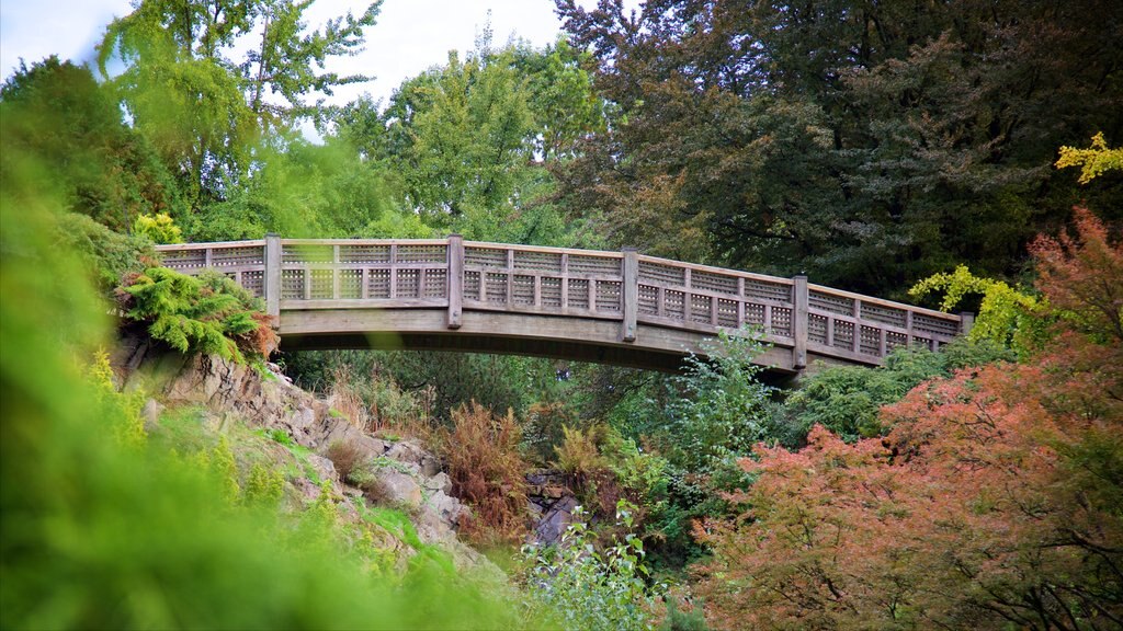 Parque Queen Elizabeth mostrando un jardín y un puente