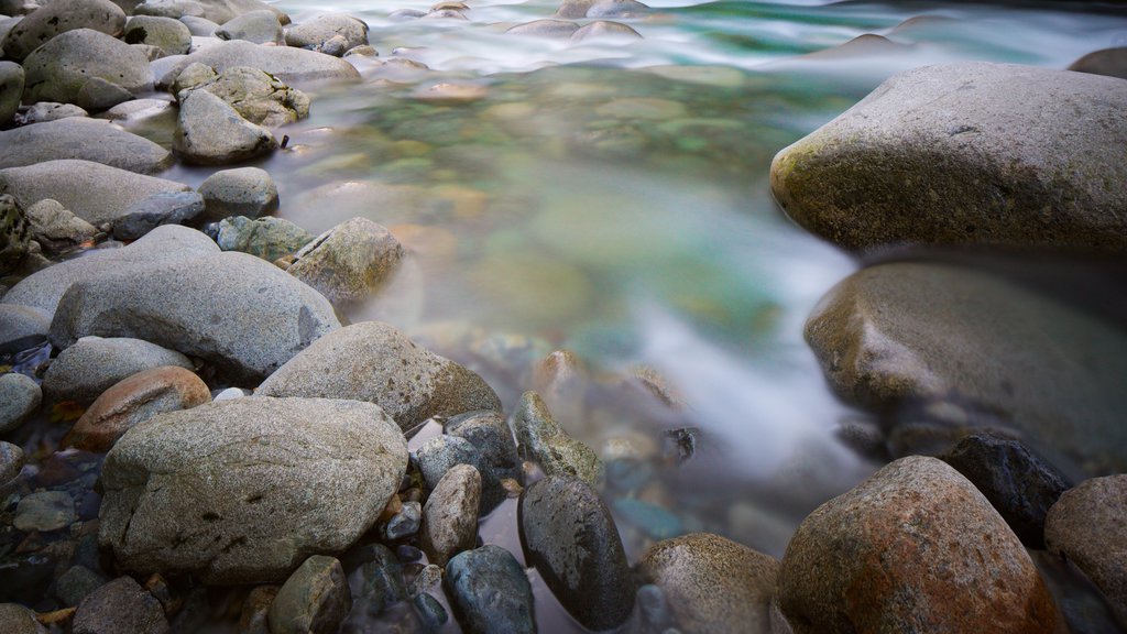 Lynn Canyon Park showing a river or creek