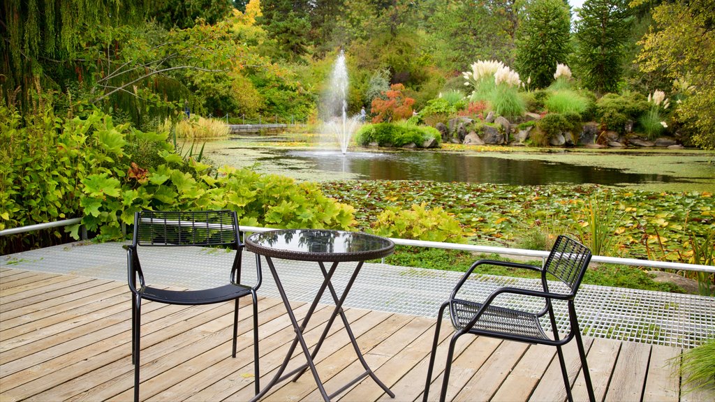 VanDusen Botanical Garden showing a fountain, a garden and a lake or waterhole