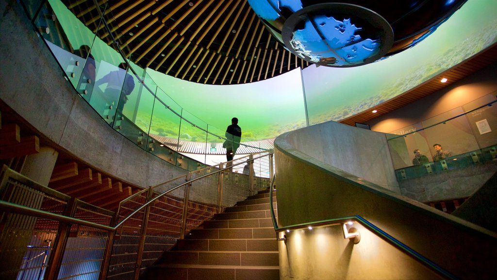 Vancouver Aquarium showing marine life and interior views