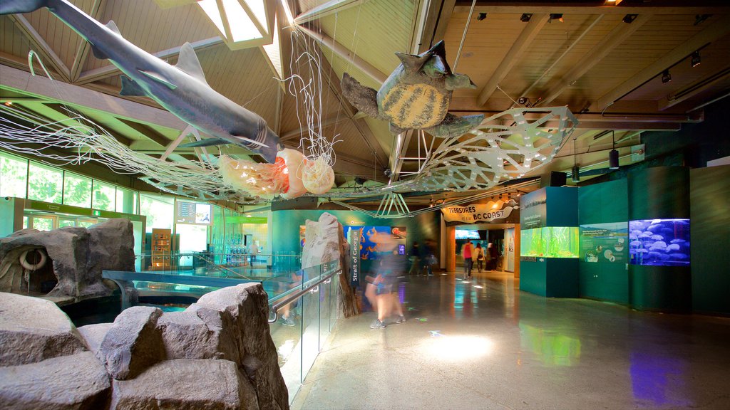 Vancouver Aquarium featuring interior views and marine life