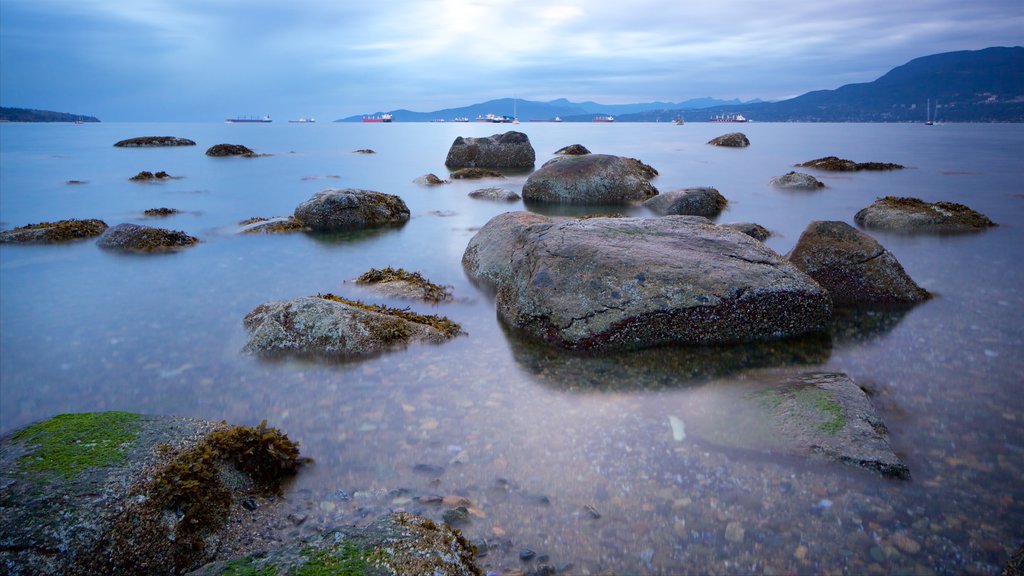 Playa Kitsilano ofreciendo vistas generales de la costa y una bahía o puerto