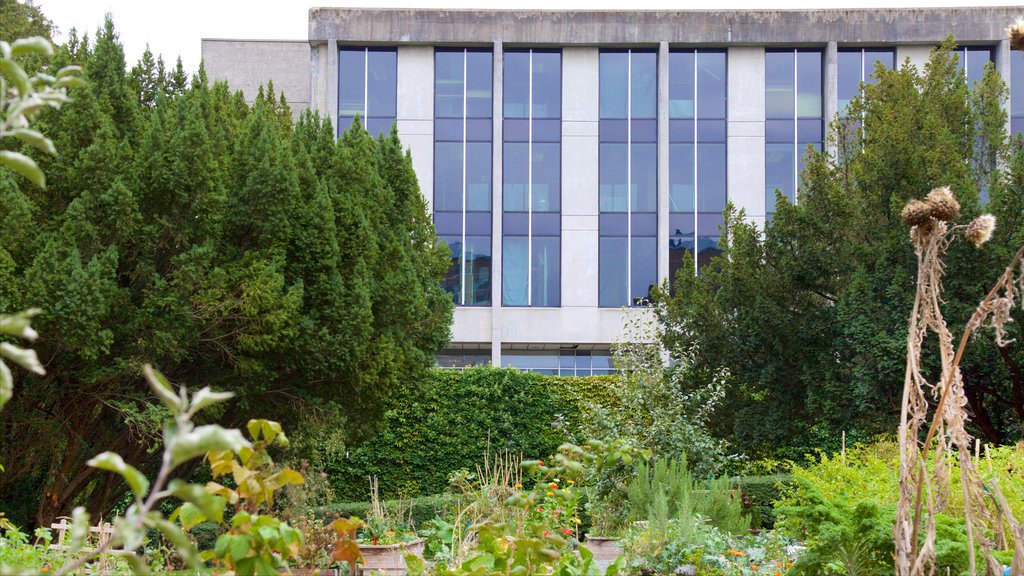 Vancouver mostrando un edificio administrativo y un jardín