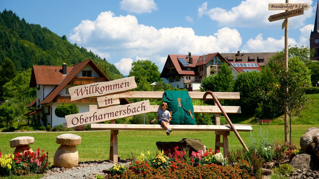 Baden-Wuerttemberg which includes signage and a small town or village