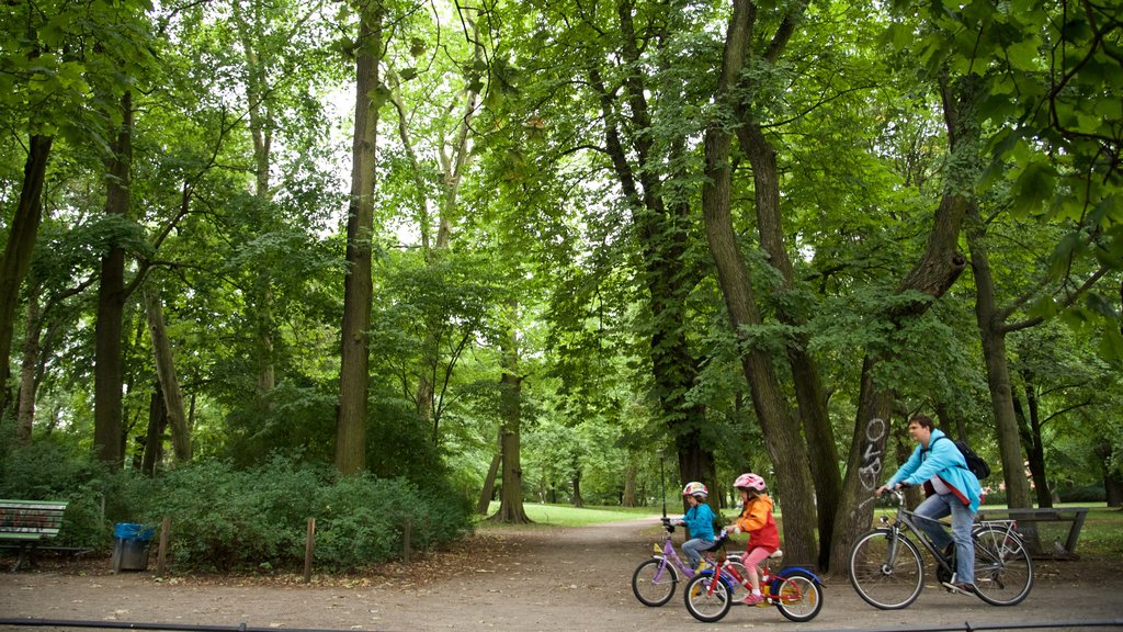 Weissensee ofreciendo ciclismo y un parque y también una familia