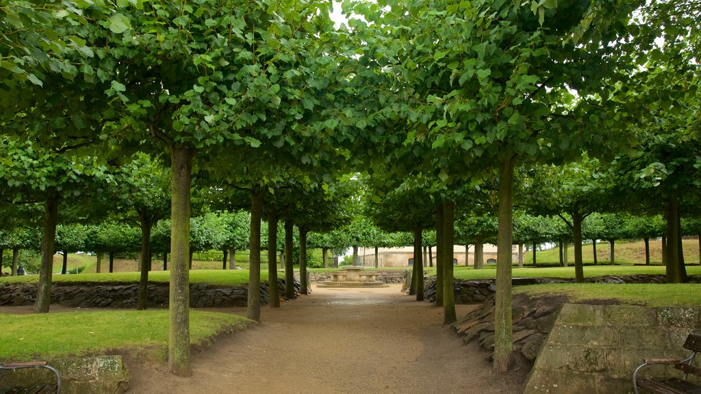 Koenigstein Fortress featuring a garden