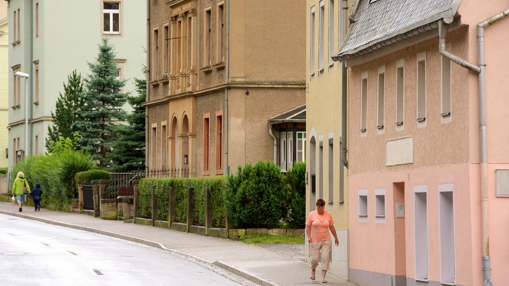 Koenigstein featuring street scenes