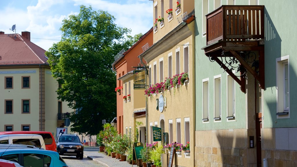 Koenigstein showing street scenes