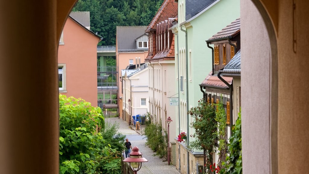 Bad Schandau mettant en vedette scènes de rue