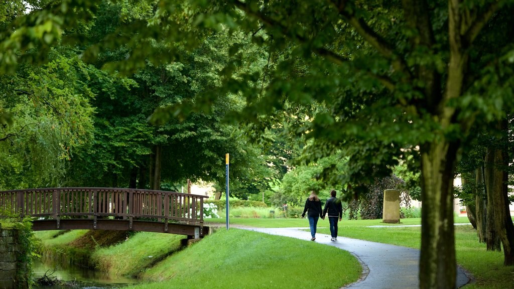 Bad Schandau toont een park en hiken of wandelen