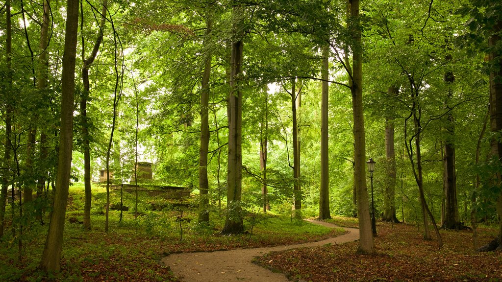 Koenigstein Fortress featuring a park