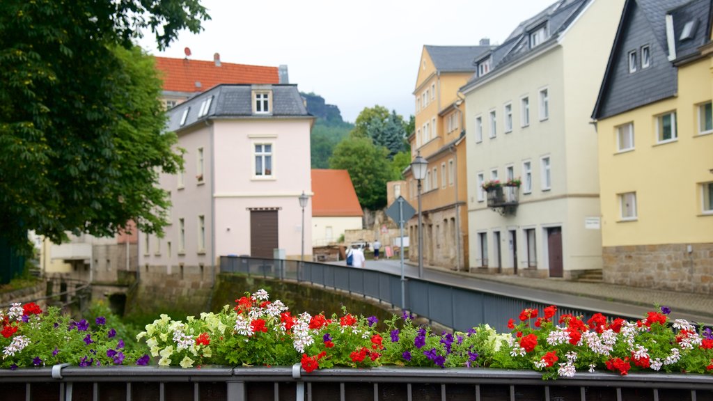 Koenigstein ofreciendo escenas urbanas