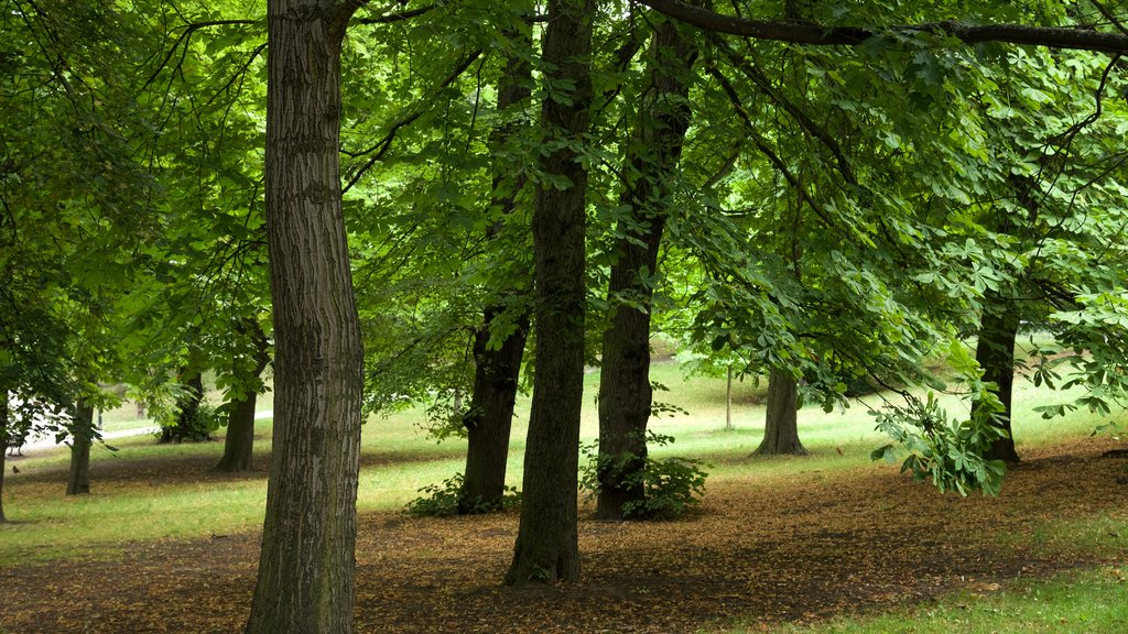 Weissensee mostrando um jardim