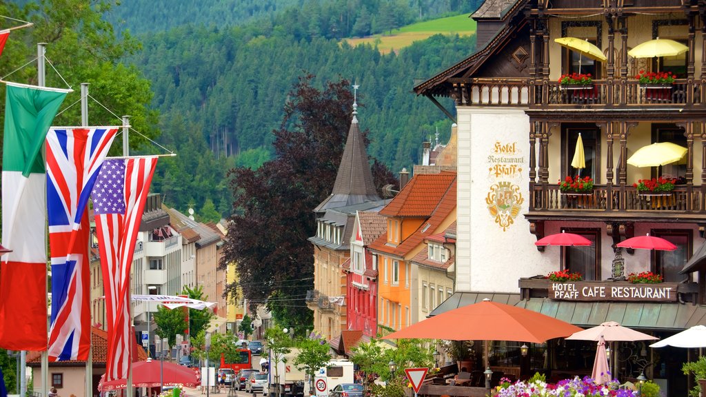 Triberg im Schwarzwald showing street scenes