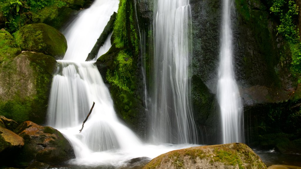 Triberg im Schwarzwald toont een cascade