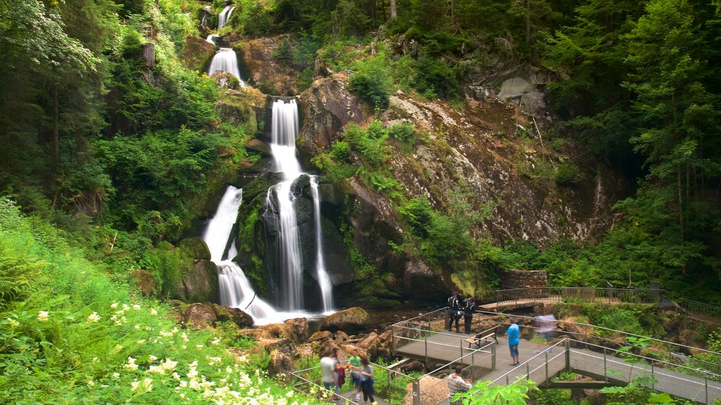 Triberg im Schwarzwald inclusief een waterval