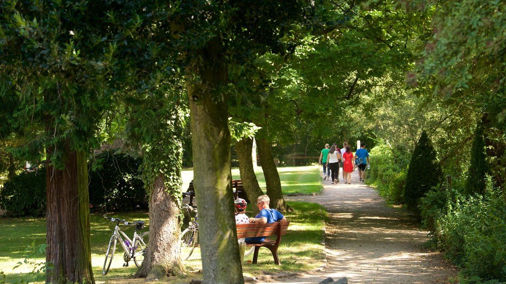 Gengenbach showing hiking or walking and a park