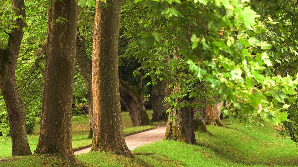 Ilha Mainau que inclui um jardim