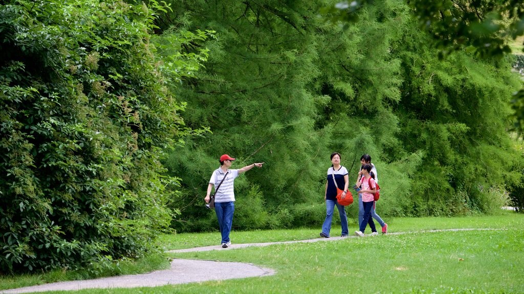 Mainau Island showing hiking or walking and a park as well as a small group of people