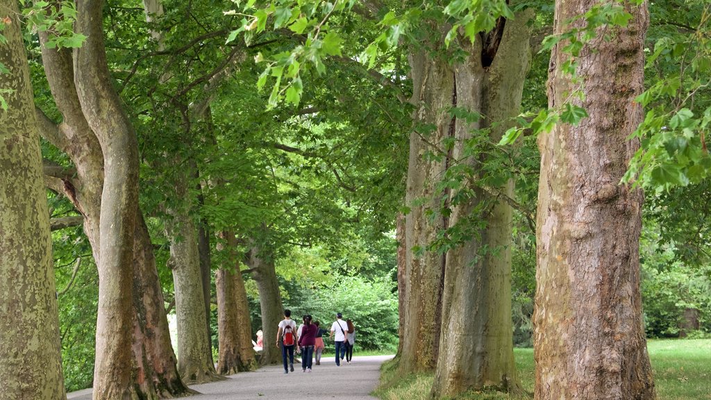 Ilha Mainau que inclui um parque