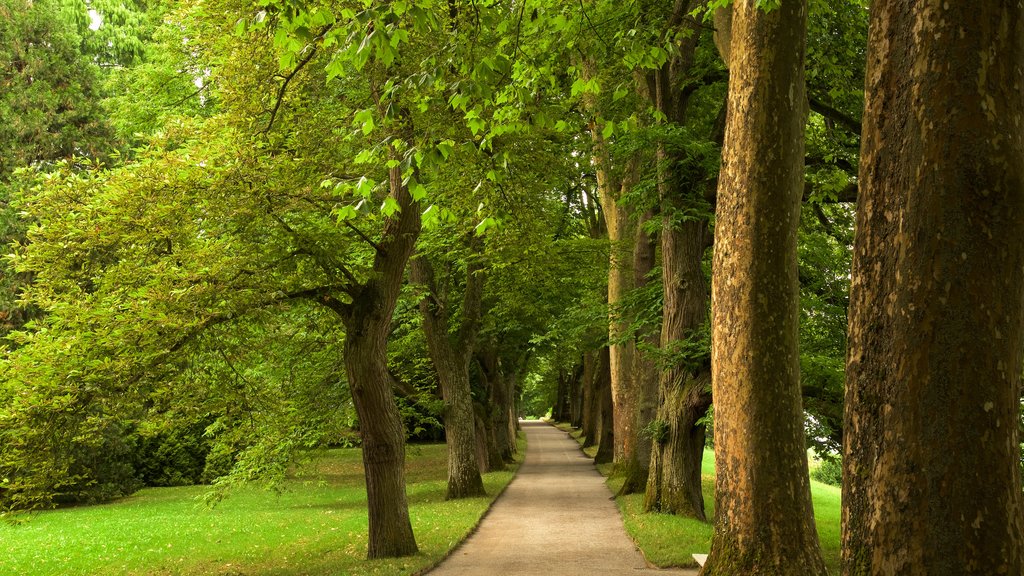 Lake Constance Promenade featuring a garden