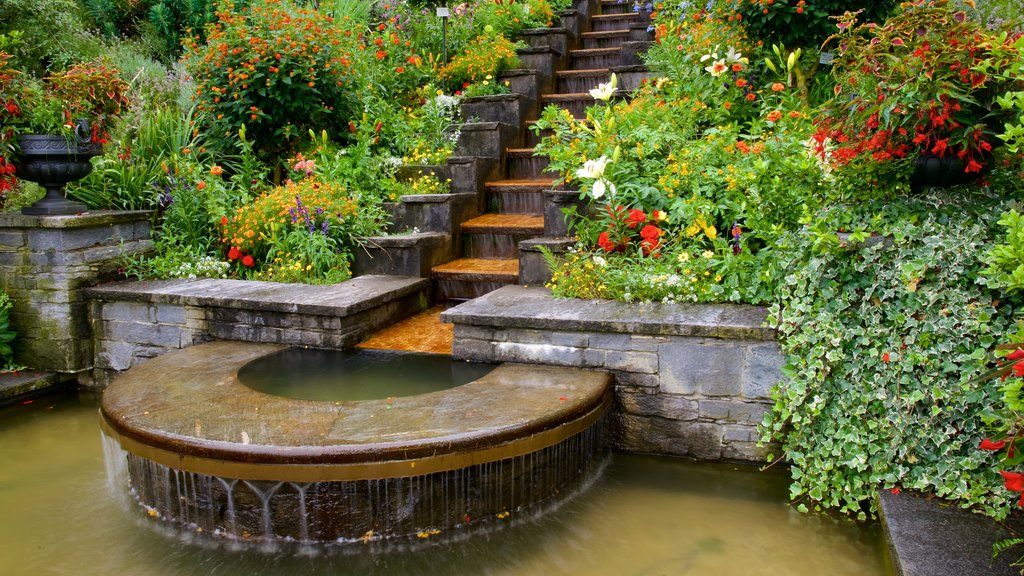 Paseo del lago de Constanza que incluye jardín, flores silvestres y una fuente