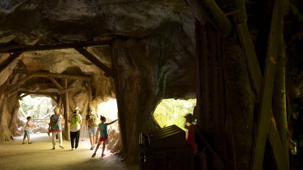 Zoo de Leipzig ofreciendo animales del zoológico y vistas interiores y también un pequeño grupo de personas