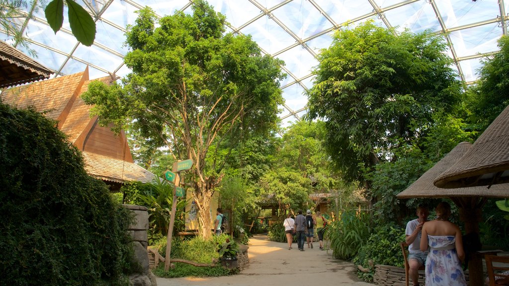 Zoo de Leipzig que incluye animales del zoológico y vistas interiores