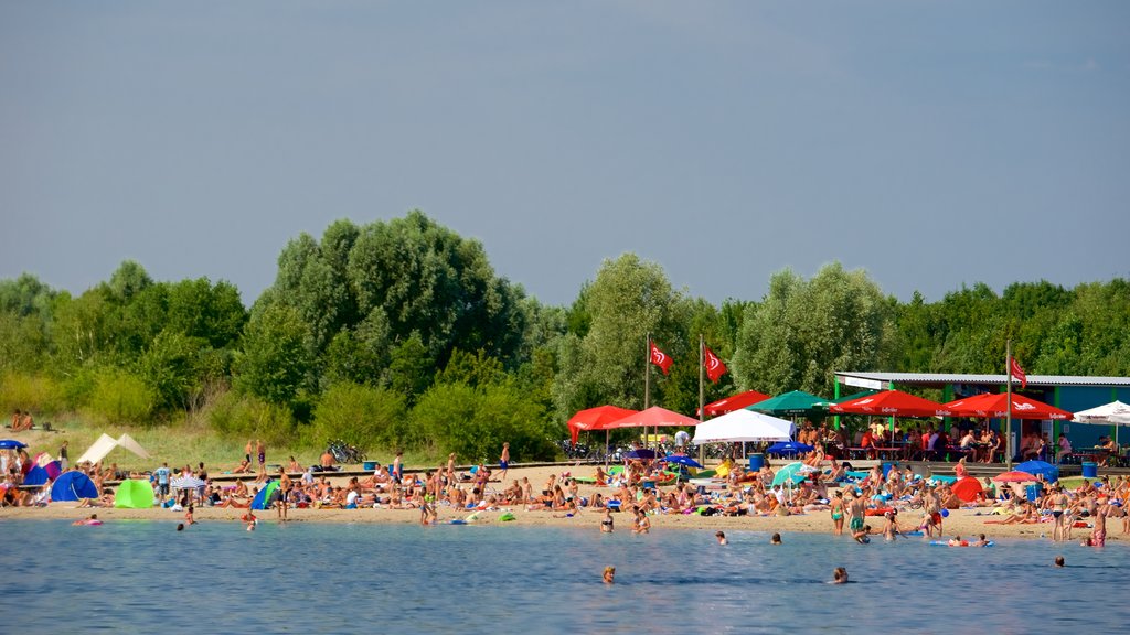 Cospudener Lake which includes a sandy beach as well as a large group of people