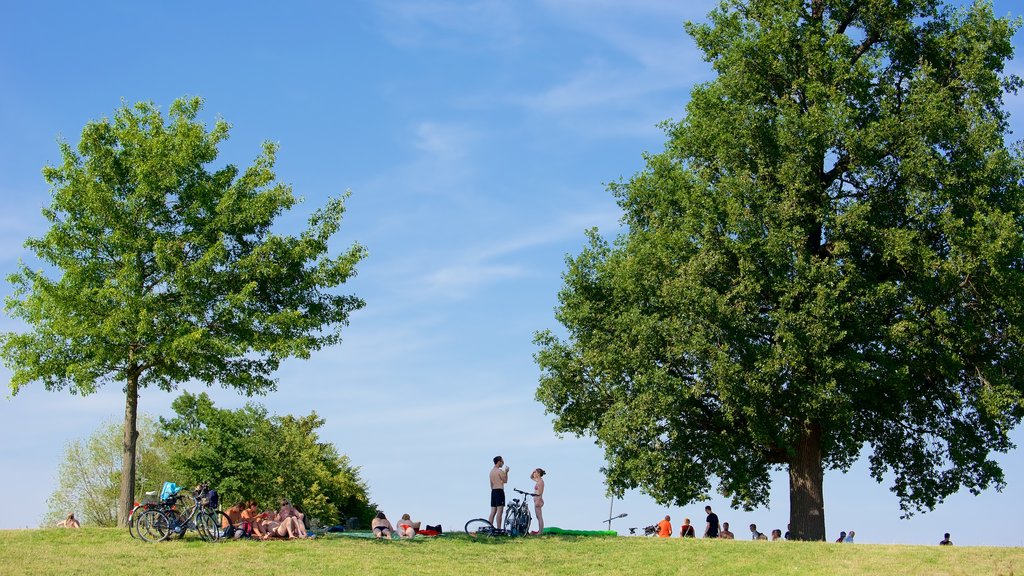 Lago Cospudener ofreciendo un parque y también un pequeño grupo de personas